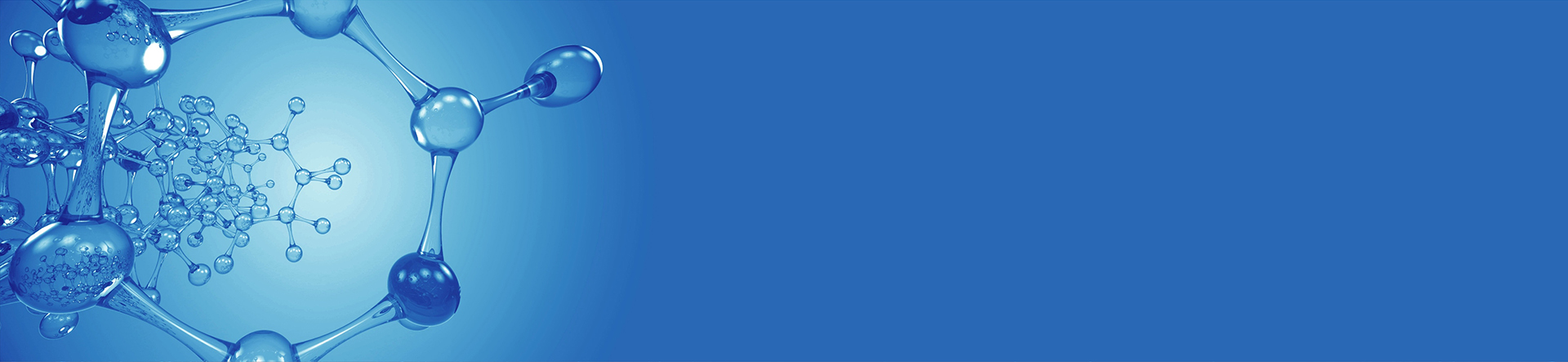 Banner1