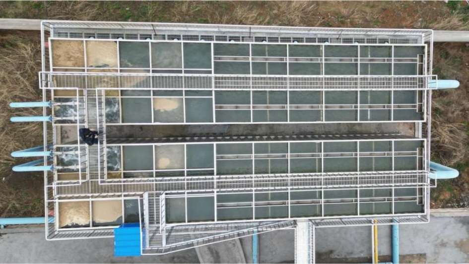 气浮池在自来水厂的应用解决方案